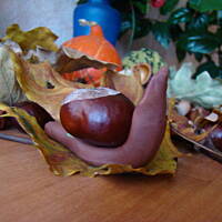 cudeńka z darów jesieni