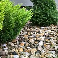 ogrodowo ... cz.5 (juź jesiennie)