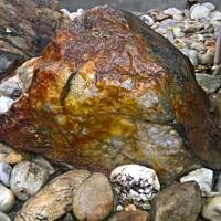 ogrodowo ... cz.5 (juź jesiennie)