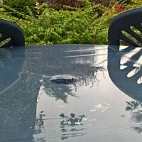 ogrodowo ... cz.5 (juź jesiennie)