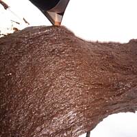 Pierniki Bożonarodzeniowe