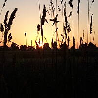 Wschody i zachody słońca i księżyca 