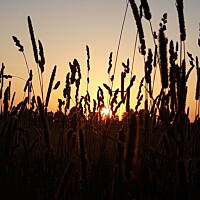 Wschody i zachody słońca i księżyca 