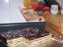 Fot. barb, grysikowiec