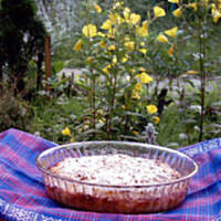 Cobbler brzoskwiniowy