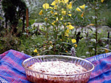 Fot. Kasiulinka, Cobbler brzoskwiniowy