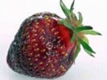 Fot. Dorinka, Truskawki z pieprzem - hit tego lata