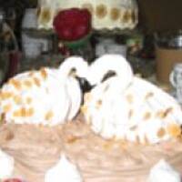 Łabędzie na jeziorze