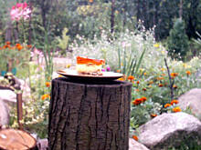 Fot. Kasiulinka, Delicje Prababci Amelii