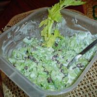 surowka z selera naciowego