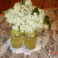 Syrop z kwiatów czarnego bzu