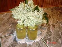 Fot. irena sikora, Syrop z kwiatów czarnego bzu