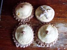 Fot. Aarionne, Kruche cycuszki z silikonem