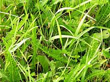 Fot. kikaGD, Ja też spróbuję