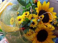 Fot. Almira, Bywało lepiej....