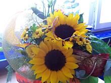 Fot. Almira, A to już za chwilę