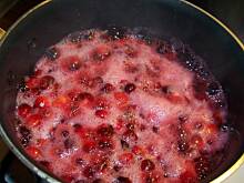 Fot. amator, Zurawiny do indyka i nie tylko