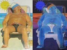 Fot. lajan, Wielkie obżarcie