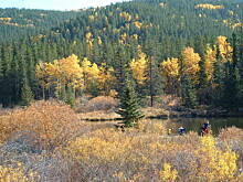 Fot. baska, Powrot do jesieni