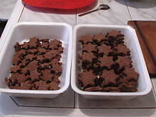 Fot. basia19, Gwiazdki orzechowe