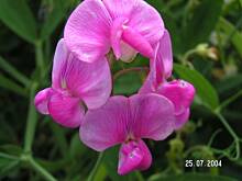 Fot. eli79, wiersze dla dzieci