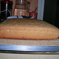 Biszkpot do tortów i ciast z kremem