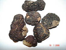 Fot. woila, Cóż to takiego?