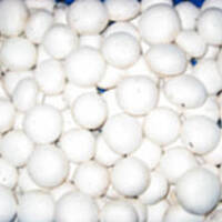 cannelloni ze szpinakiem!!Pycha