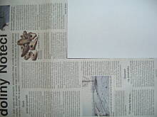 Fot. lajan, Tajemnice  doliny Noteci