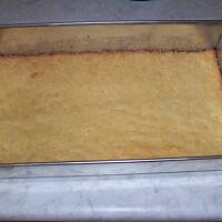 jabłecznik inny - czarodziejski