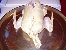 Fot. joeblack, POPiSowa kaczka