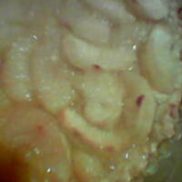 Tarta z jabłkami w karmelu