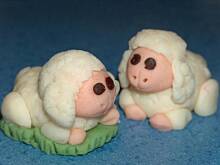 Fot. skolopendra, Jak ulepić baranka ;)