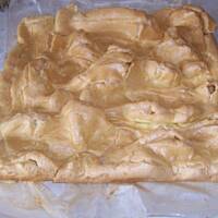 ptysie inki  21 lub karpatka