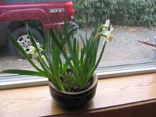 Fot. erka, troszke wiosny