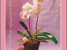 Fot. alga, urodziny kasiak73  urodziny  gosiek73