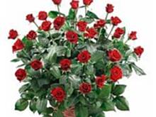 Fot. hanah30, O bigosie raz jeszce '' Bigos myśliwski'' wg Książki Kucharskiej Marii Monatowej