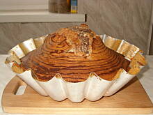 Fot. diddlina, Zebra Agusi