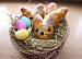 By bing_translator, Easter bunnies