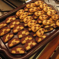 ciasteczka szachownice