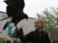 Fot. Dagi007, Dziecko z ptaszkiem :)))