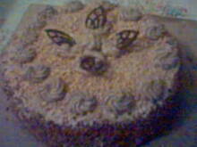 Fot. kalmia, Ciasto czekoladowe