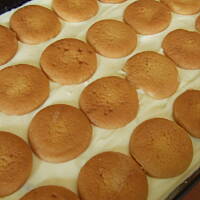 Bawole oczy wersja mix