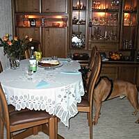 Sernik z serka homogenizowanego - niesamowity