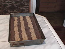 Fot. basiagwozd, Rzeszowiak