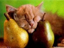 Fot. Janek, ..Dzień, jak co dzień