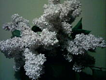 Fot. dankarz, Nie zostawiaj mnie!!!!