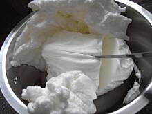 Fot. Glumanda, Biszkopt wzorcowy