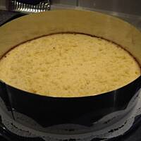 Tort Jogurtowo-Owocowy