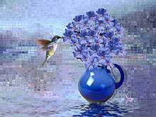 Fot. tajger, Imieniny ma też angela